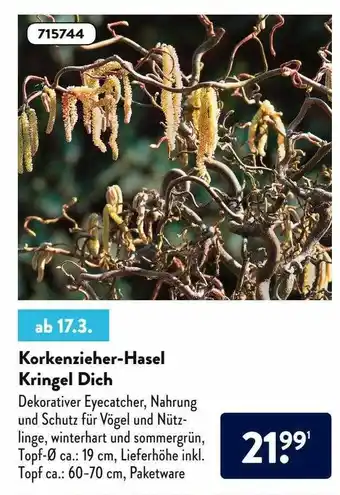 Aldi Nord Korkenzieher-hasel Kringel Dich Angebot