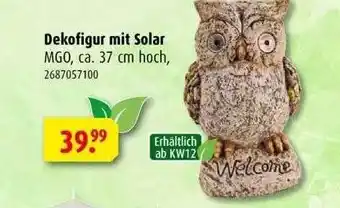 ROLLER Dekofigur Mit Solar Angebot