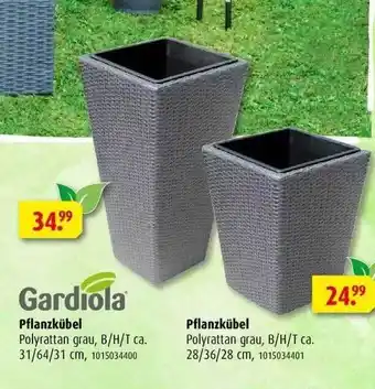 ROLLER Gardiola Pflanzkübel, Pflanzkübel Angebot