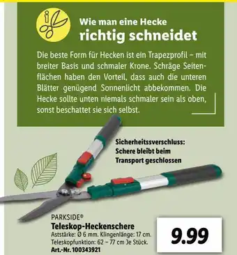 Lidl Teleskop Heckenschere Angebot