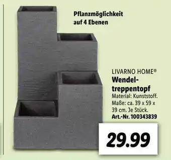 Lidl Wendel Treppentopf Angebot