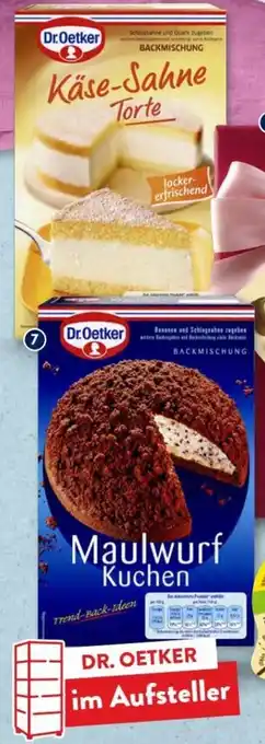 Aldi Süd Dr. Oetker Backmischung Angebot