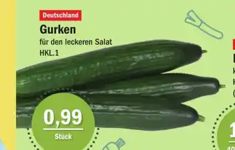 Aktiv Irma Gurken für den leckeren Salat HKL.1 Angebot