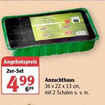 Globus Anzuchthaus Angebot