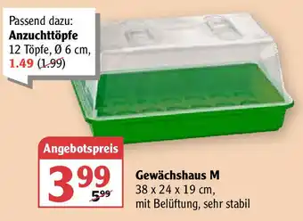 Globus Gewächshaus M Angebot