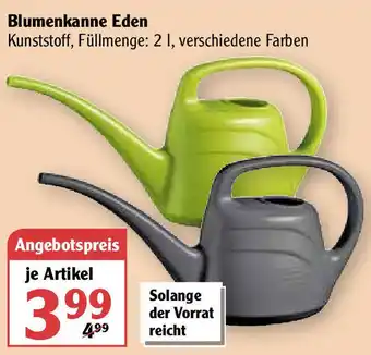 Globus Blumenkanne Eden Angebot