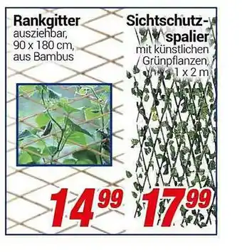 CENTERSHOP Rankgitter Oder Sichtschutzspalier Angebot