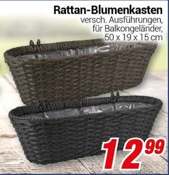 CENTERSHOP Rattan Blumenkasten Angebot