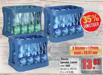 Profi Getränke Hassia Sprudel, Leicht Oder Still Angebot