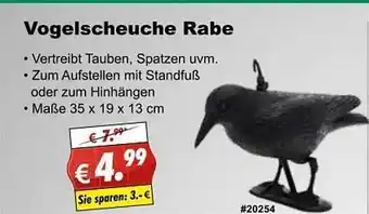 Stabilo Fachmarkt Vogelscheuche Rabe Angebot