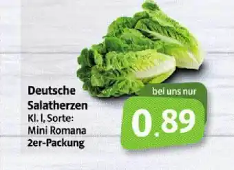 Markant Markt Deutsche Salatherzen Angebot