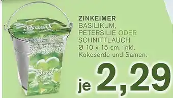 KODi Zinkeimer Basilikum, Petersilie Oder Schnittlauch Angebot