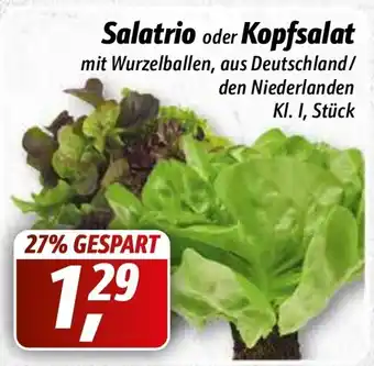 Simmel Salatrio oder Kopfsalat Angebot