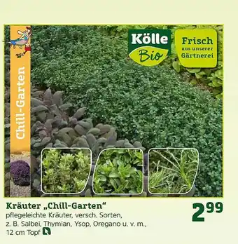 Pflanzen Kölle Kräuter „Chill Garten” Angebot