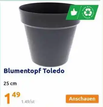 Action Blumentopf Toledo Angebot