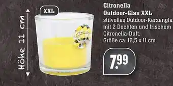 Scheck-in-Center Citronella Outdoor Glas XXL Angebot