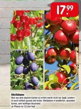 Raiffeisen Markt Obstbäume Angebot