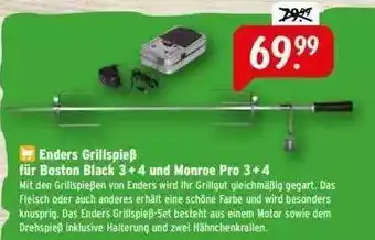 Raiffeisen Markt Enders Grillspieß Angebot