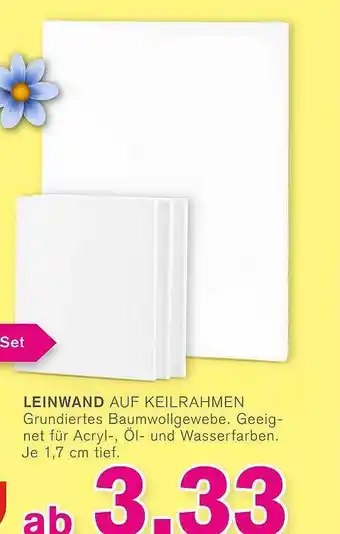 KODi Leinwand Auf Keilrahmen Angebot