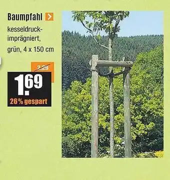 V Baumarkt Baumpfahl Angebot