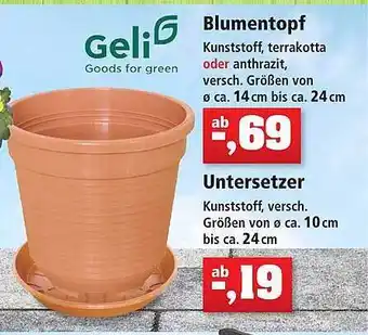 Thomas Philipps Blumentopf, Untersetzer Angebot