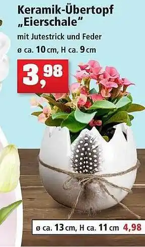 Thomas Philipps Keramik übertopf Eierschale Angebot