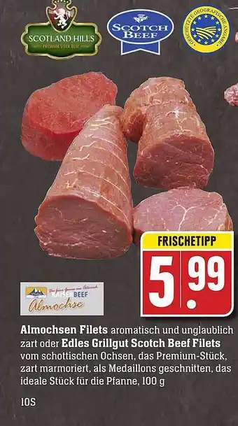 Scheck-in-Center Almochsen Filets , Edles Grillgut Scotch Beef Filets Angebot