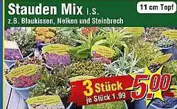 Wiglo Wunderland Stauden Mix Angebot