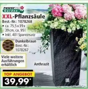 Norma24 Power Garden XXL-pflanzsäule Angebot