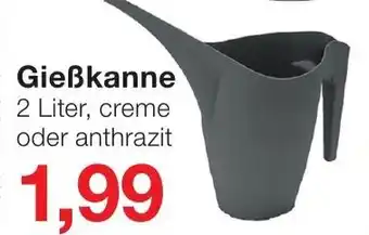 Jawoll Gießkanne Angebot