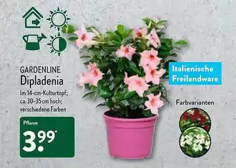 Aldi Nord Gardenline Dipladenia Angebot