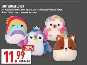 Marktkauf Squishmallows Angebot