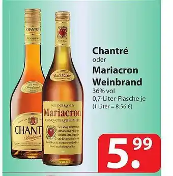 Famila Nord Ost Chantré Oder Mariacron Weinbrand Angebot