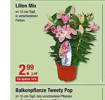 V Markt Lilien Mix Angebot