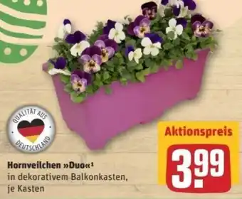 REWE Center Hornveilchen Duo Angebot