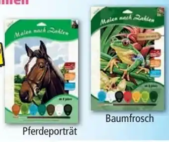 Norma Mal- und Bastelspaß Angebot