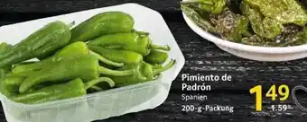 Selgros Pimiento De Padron Angebot