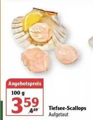 Globus Tiefsee-scallops Angebot