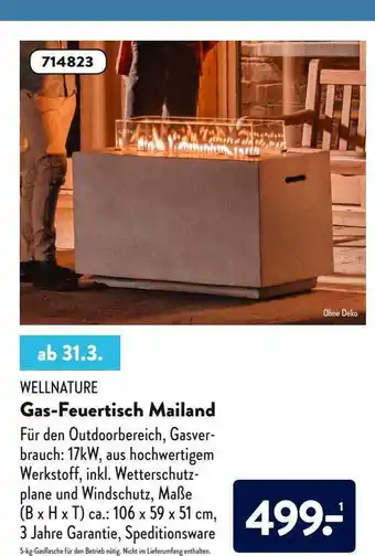 Aldi Nord Wellnature Gas-feuertisch Mailand Angebot