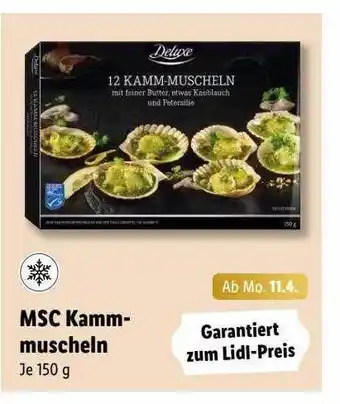 Lidl Msc Kammmuscheln Angebot