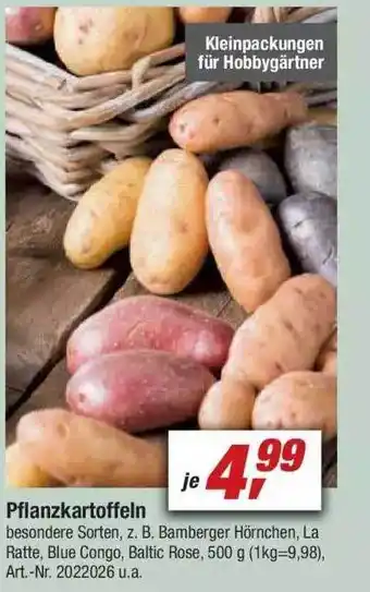 toom Baumarkt Pflanzkartoffeln Angebot