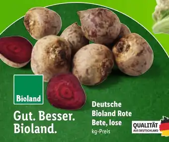 Lidl Deutsche bioland rote bete, lose Angebot