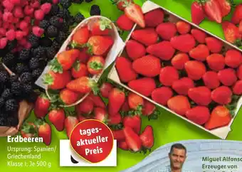 Lidl Erdbeeren 500g Angebot