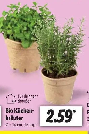 Lidl Bio Kuchen-krauter 14 cm Angebot