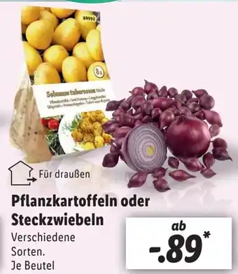 Lidl Pflanzkartoffeln oder Steckzwiebeln Angebot