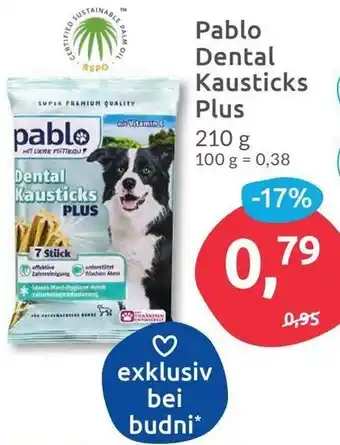 Budni Pablo Dental Kausticks Plus 210g Angebot