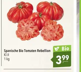 CITTI Markt Spanische Bio Tomaten Rebellion 1 kg Angebot