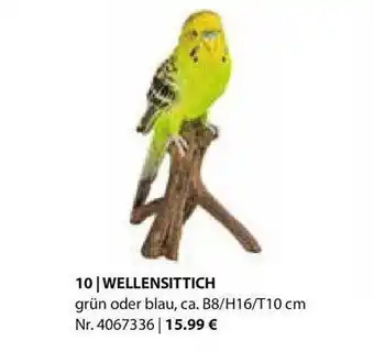 Dehner Wellensittich Angebot