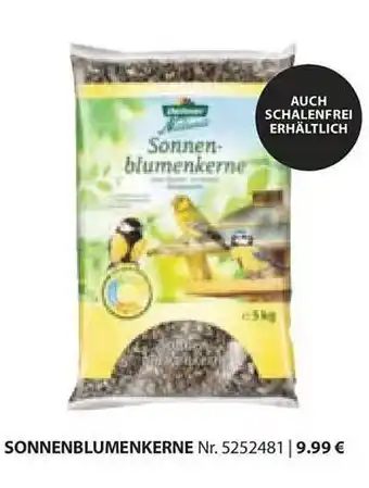 Dehner Sonnenblumenkerne Angebot