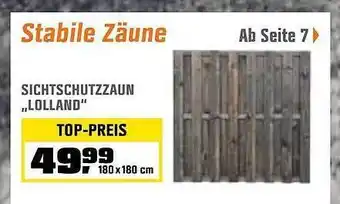 OBI Sichtschutzzaun „lolland” Angebot